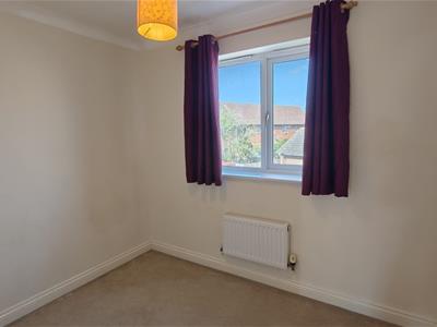 Picture 13